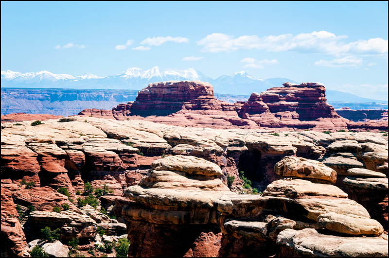 Canyonlands 2014